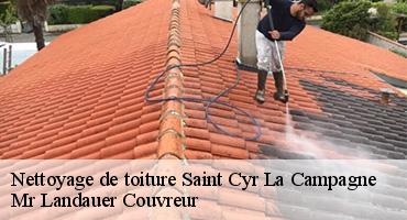 nettoyage-de-toiture-1