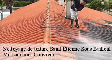 nettoyage-de-toiture-1