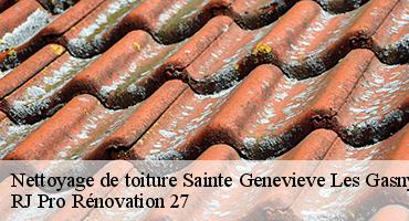 nettoyage-de-toiture-1