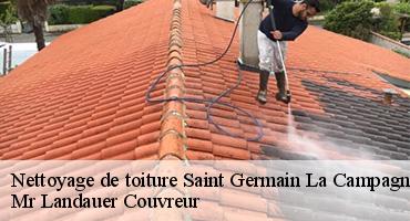 nettoyage-de-toiture-1