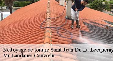 nettoyage-de-toiture-1