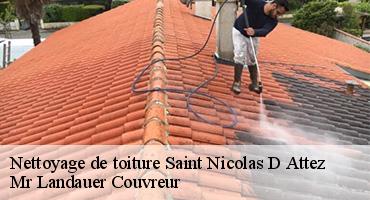 nettoyage-de-toiture-1