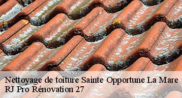 nettoyage-de-toiture-1
