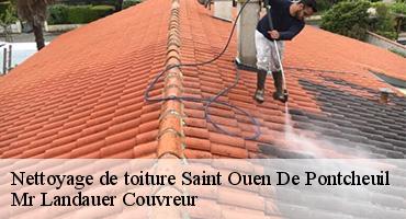 nettoyage-de-toiture-1