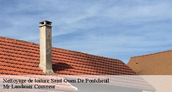 nettoyage-de-toiture-7