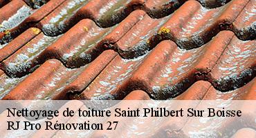 nettoyage-de-toiture-1