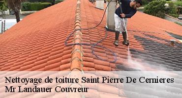 nettoyage-de-toiture-1