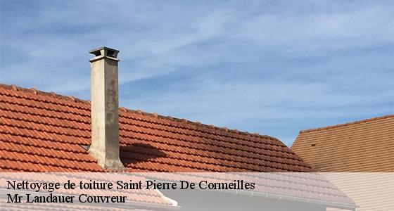 nettoyage-de-toiture-7