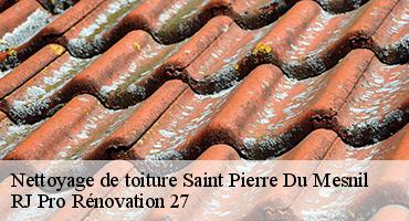 nettoyage-de-toiture-1
