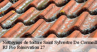 nettoyage-de-toiture-1