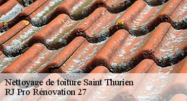 nettoyage-de-toiture-1