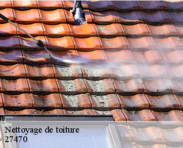 nettoyage-de-toiture-2