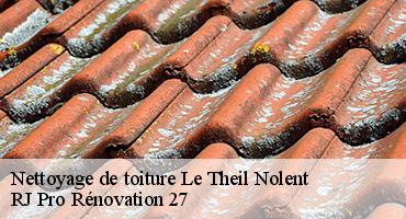 nettoyage-de-toiture-1