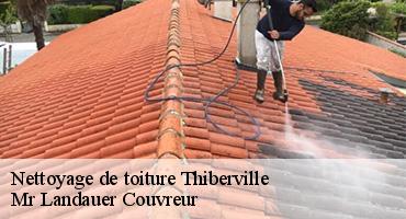 nettoyage-de-toiture-1