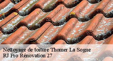 nettoyage-de-toiture-1