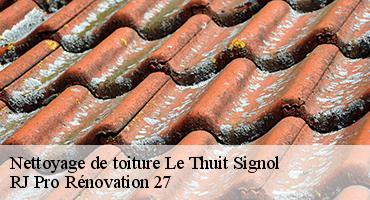 nettoyage-de-toiture-1