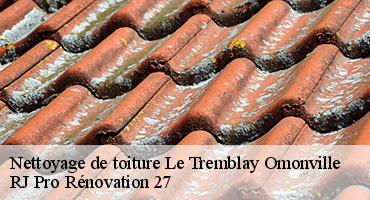 nettoyage-de-toiture-1