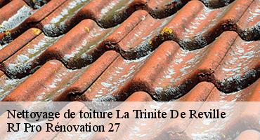 nettoyage-de-toiture-1
