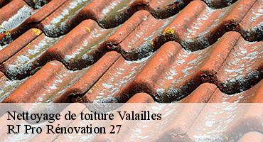 nettoyage-de-toiture-1