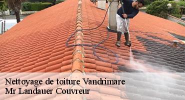 nettoyage-de-toiture-1