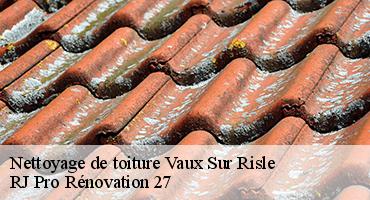nettoyage-de-toiture-1