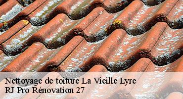 nettoyage-de-toiture-1