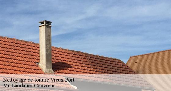 nettoyage-de-toiture-7