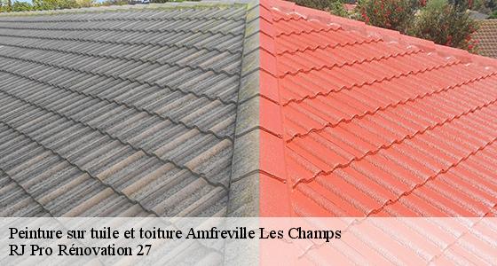 peinture-sur-tuile-et-toiture-7