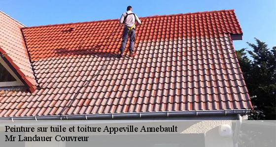 peinture-sur-tuile-et-toiture-7