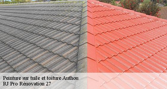 peinture-sur-tuile-et-toiture-7