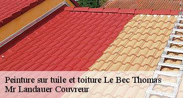 peinture-sur-tuile-et-toiture-1