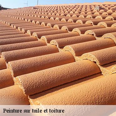 peinture-sur-tuile-et-toiture-3