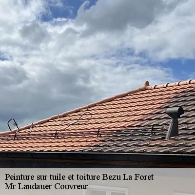 peinture-sur-tuile-et-toiture-4