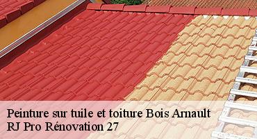 peinture-sur-tuile-et-toiture-1