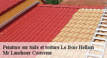 peinture-sur-tuile-et-toiture-1