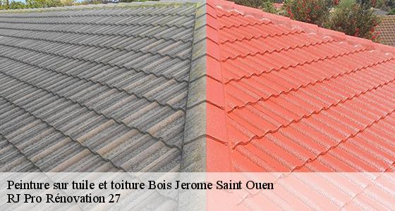 peinture-sur-tuile-et-toiture-7