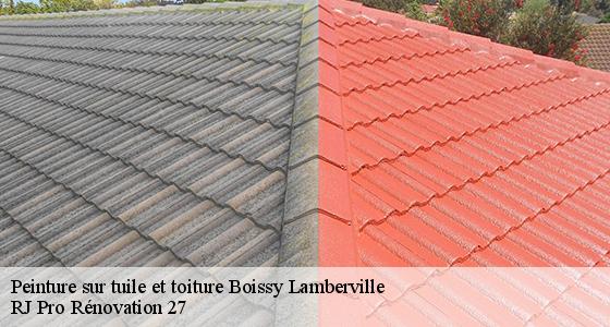 peinture-sur-tuile-et-toiture-7