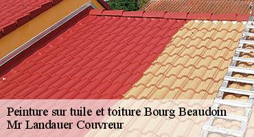 peinture-sur-tuile-et-toiture-1