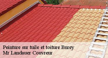 peinture-sur-tuile-et-toiture-1