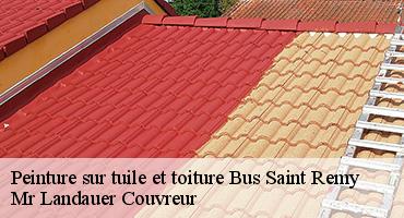 peinture-sur-tuile-et-toiture-1