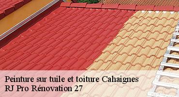peinture-sur-tuile-et-toiture-1