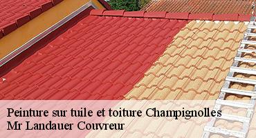 peinture-sur-tuile-et-toiture-1