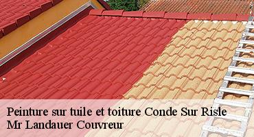 peinture-sur-tuile-et-toiture-1