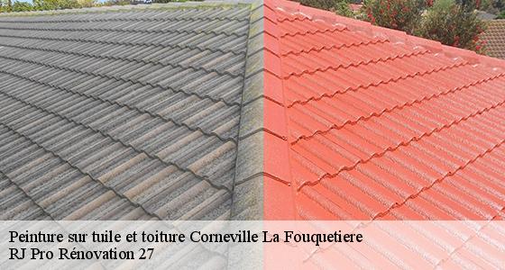 peinture-sur-tuile-et-toiture-7