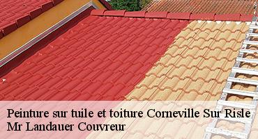 peinture-sur-tuile-et-toiture-1