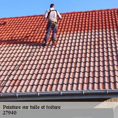 peinture-sur-tuile-et-toiture-8