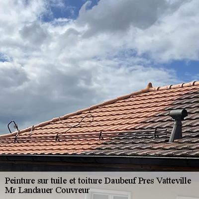 peinture-sur-tuile-et-toiture-4