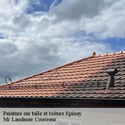peinture-sur-tuile-et-toiture-4