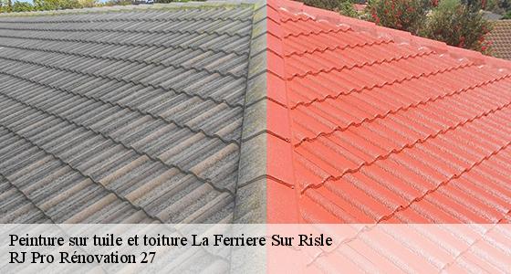 peinture-sur-tuile-et-toiture-7