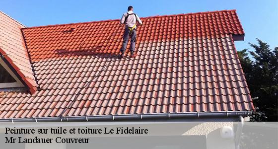 peinture-sur-tuile-et-toiture-7